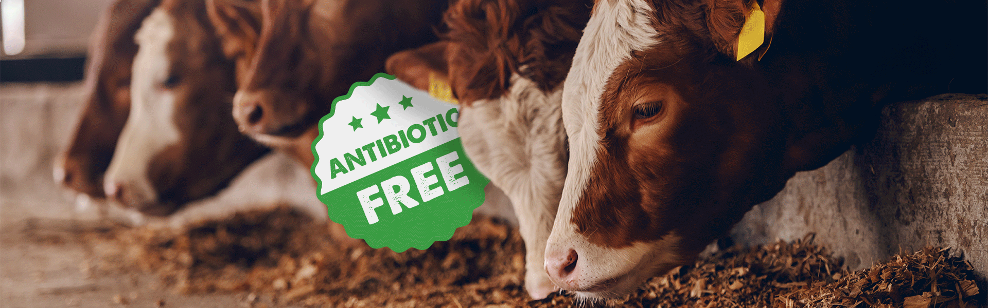 Prova Header Antibiotic Free