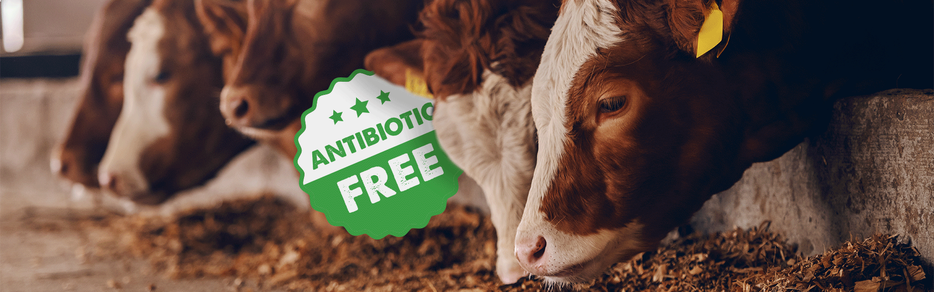 Header Antibiotic Free